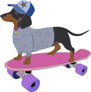 Dachshund On Skateboard