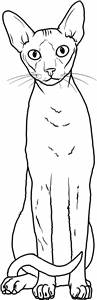 Cornish Rex