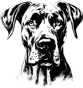 Great Dane
