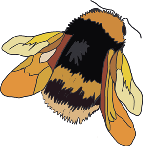 Bumble Bee 