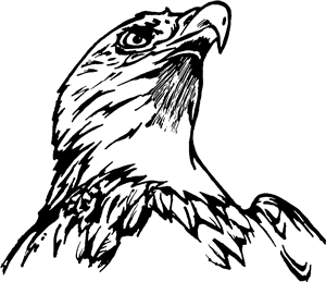 Majestic Eagle