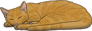 Sleeping Ginger Cat