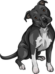 Pitbull