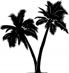 Palm Trees