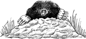 Mole In A Molehill