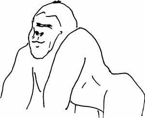 Gorilla