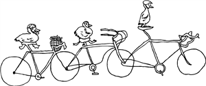Cycling Ducks