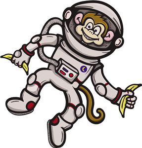 Space Monkey