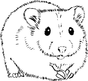Hamster