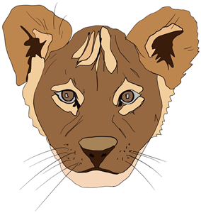 Lion Cub