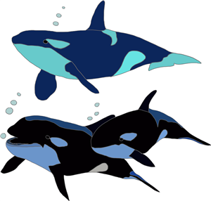 Orca Family