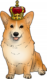 Royal Corgi