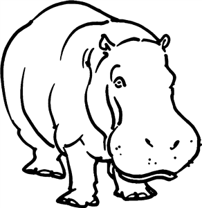 Hippo