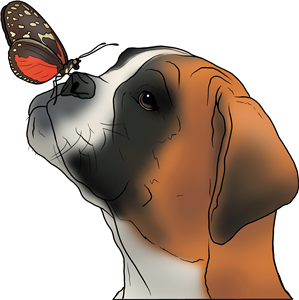 Boxer Dog & Butterfly