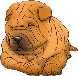 Shar Pei