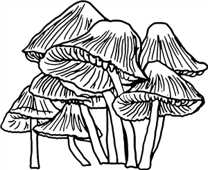 Mushrooms