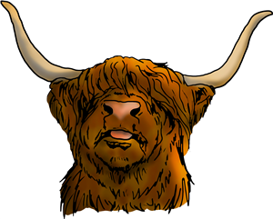 Highland Cow Head