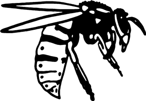 Wasp