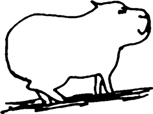 Capybara