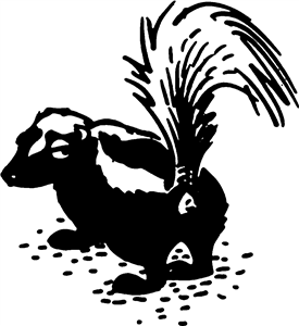 Skunk