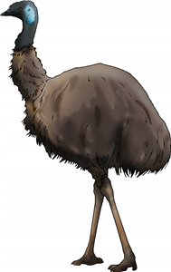 Emu