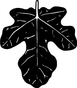 Fig Leaf