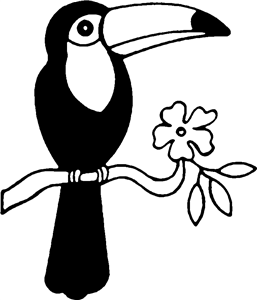 Long Billed Toucan