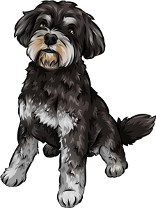 Miniature Schnauzer
