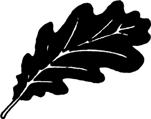 Oak Leaf