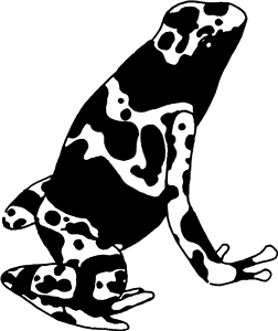 Poison Dart Frog