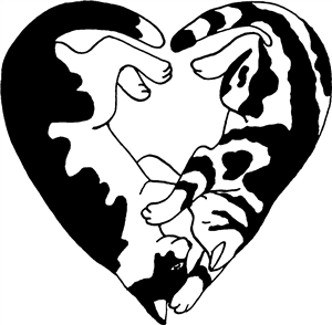 Cat Heart
