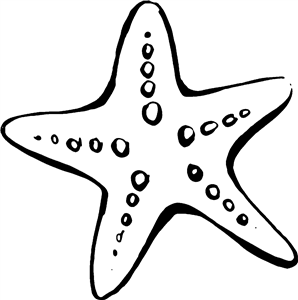Starfish
