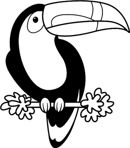 Toucan