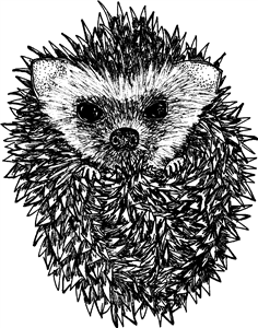 Cute Hedgehog