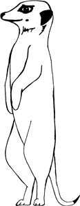 Meerkat
