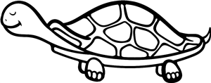 Tortoise