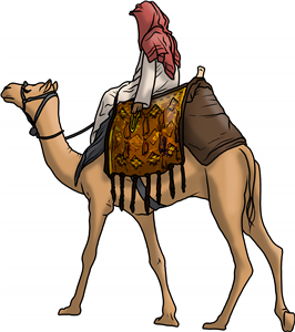 Camel Rider