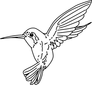 Hummingbird