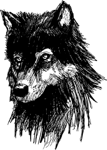 Wolf Head