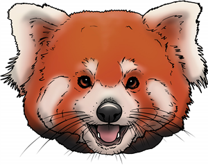Red Panda