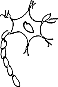 Neuron