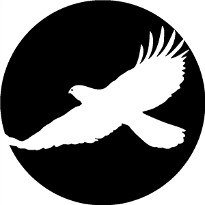 Hawk Circle