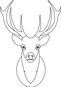 White Stag Head