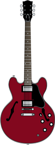 Semi Acoustic Guitar