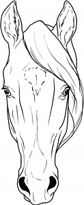 Horse Head