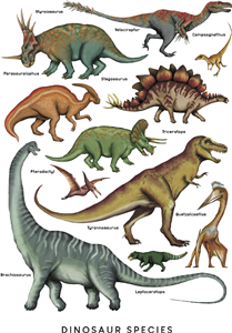 Dinosaur Species