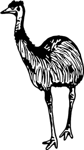 Emu