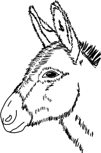 Donkey Head