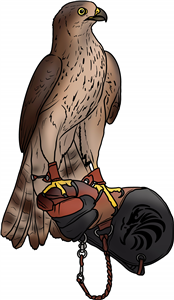 Falconry