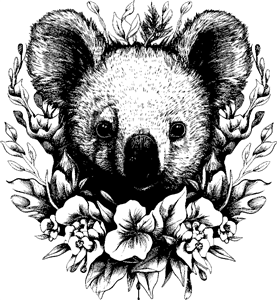 koala